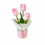Box Lore con 3 Tulipanes