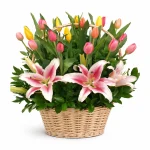 Canasta Amore con 20 Tulipanes