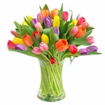 Florero Primaveral con 24 Tulipanes