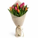 Ramo Primaveral con 10 Tulipanes